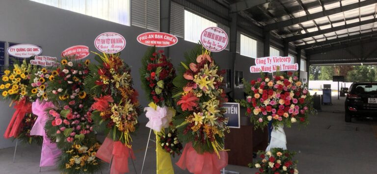 z3282645170969 12de723c1ec4ea687c8272e9f2585de0 1 768x355